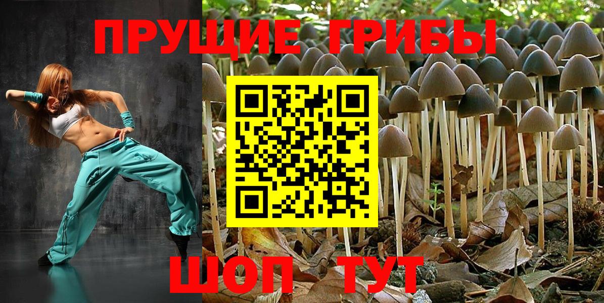 Псилоцибиновые грибы мицелий  Вход с VPN  купить  цена  Котовск  Галлюциногенные грибы Psilocybe 